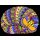 Kolorowanka welwetowa Kocur, 47x35 cm